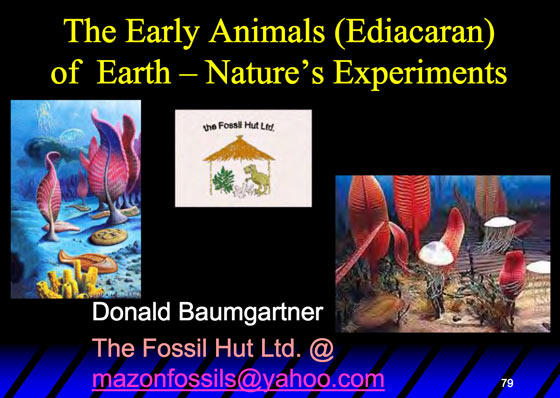 The Early Animals (Ediacaran) of Earth — Nature’s Experiments