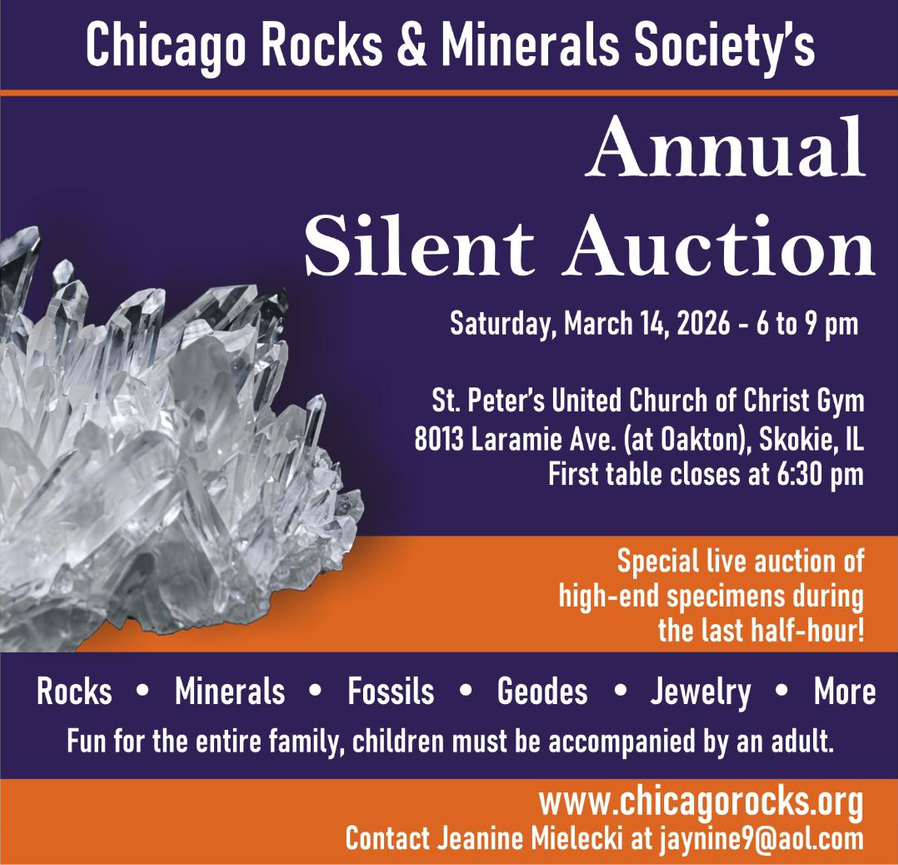 Annual Silent Auction